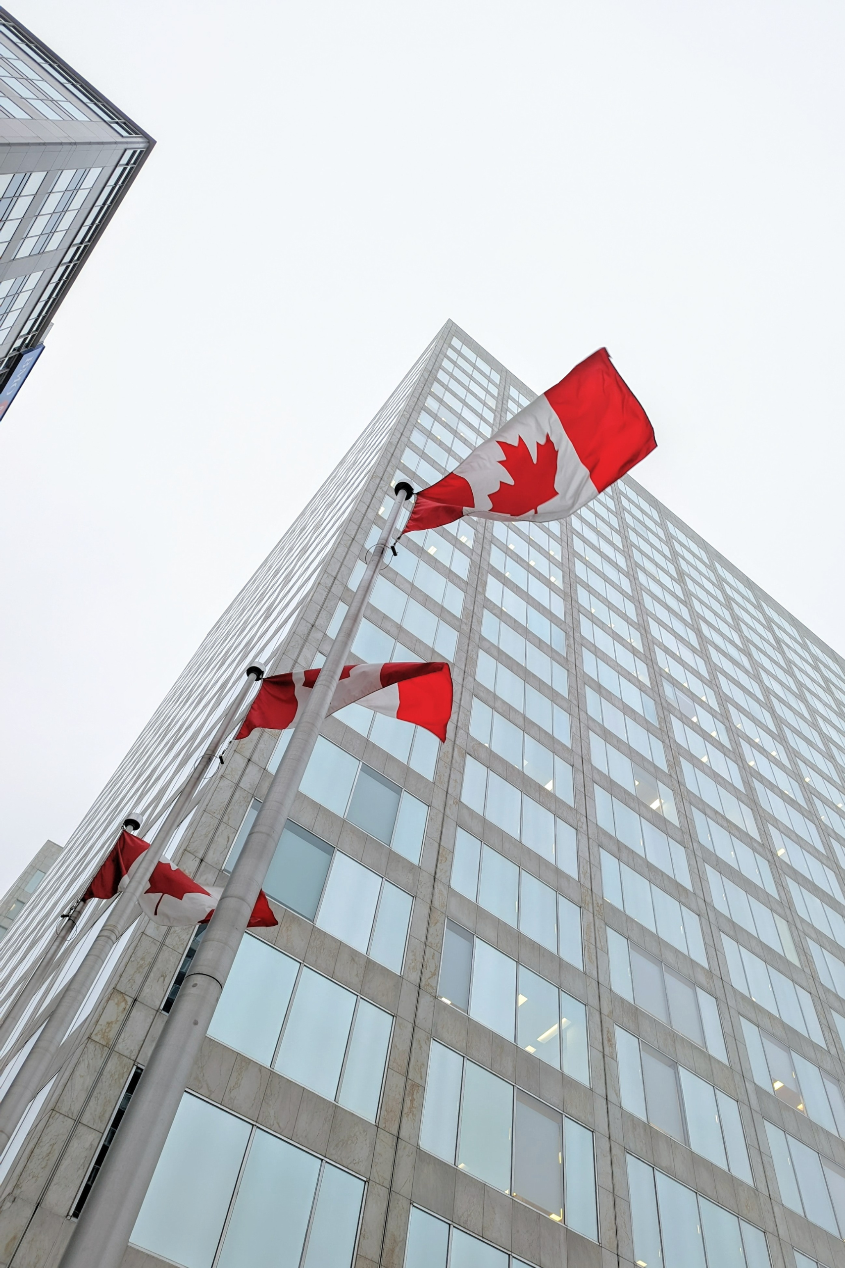 shelf corporation Canada